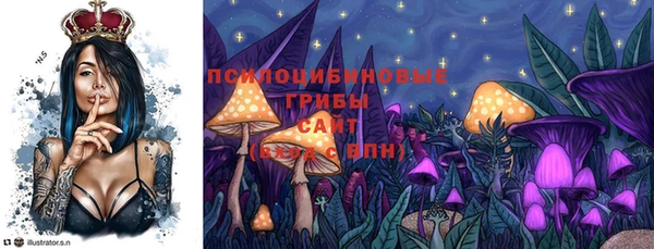 ALPHA PVP Вяземский